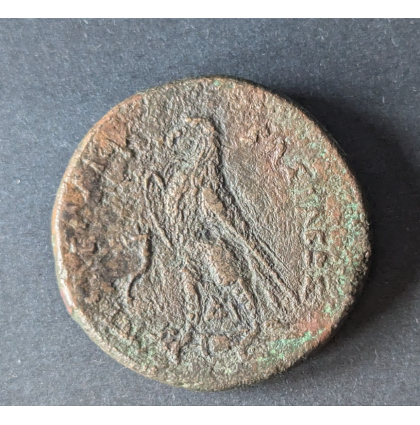 Antiguo Egipto — 1 Dracma 204 BC