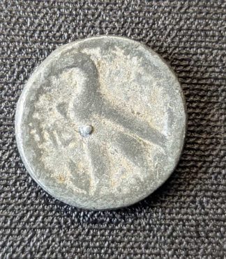 Moneda de bronce ptolemaica - Zeus-Amón y Águila - Con marca de torno visible (Siglo III-II a.C.)