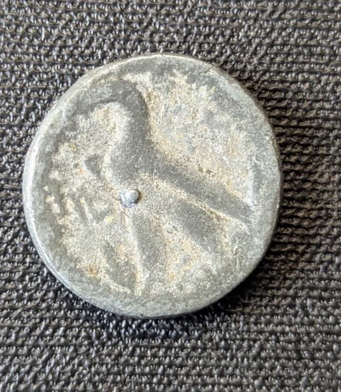 aaa-17 Moneda de bronce ptolemaica - Zeus-Amón y Águila - Con marca de torno visible (Siglo III-II a.C.)